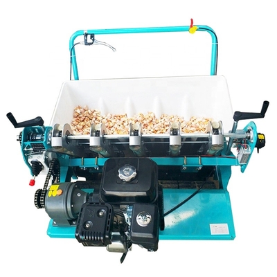 Planting Automatic Garlic Seed Garlic Planting Machine Garlic Planter Machinery
