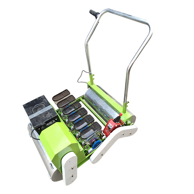 Miwell Various Field Electric Carrot Garlic Seed Planter Grain Seeder Machine Agricultural Machinery 4 Rows
